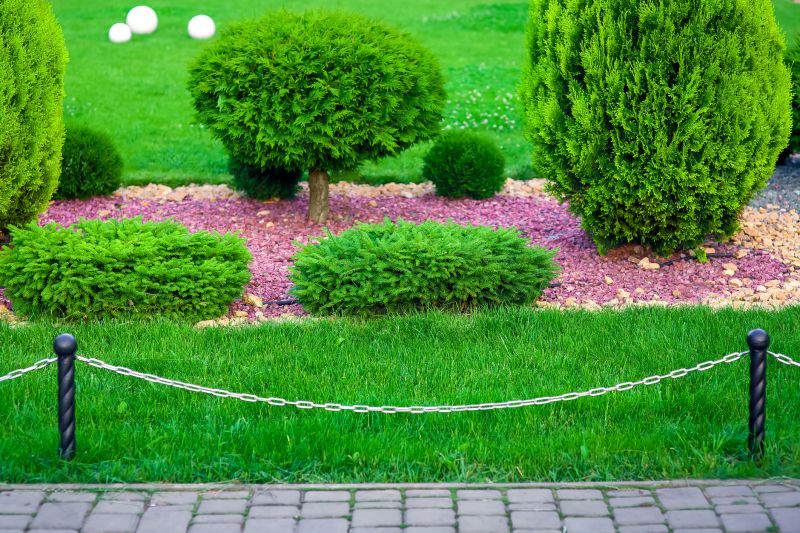 Black Mulch Installation in Ventura County, CA