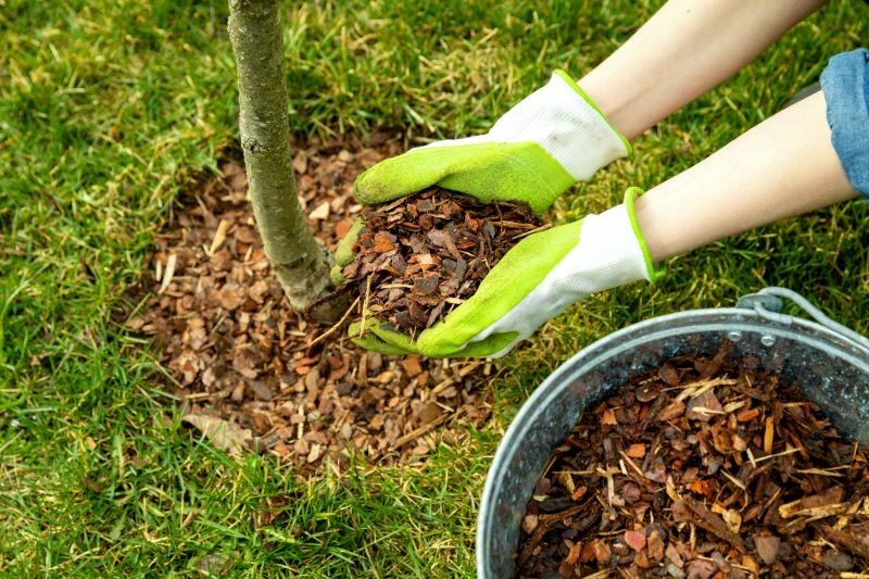 Brown Mulch Installation in Honolulu, HI