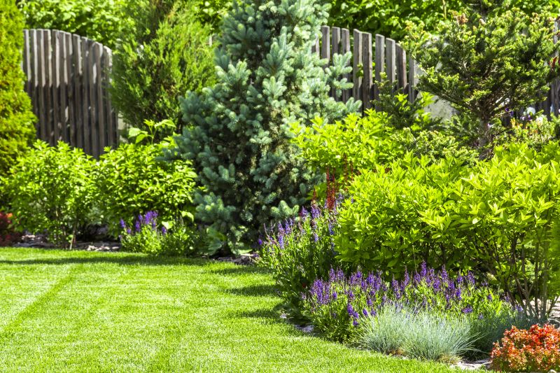 Cedar Mulch Installation in Honolulu, HI