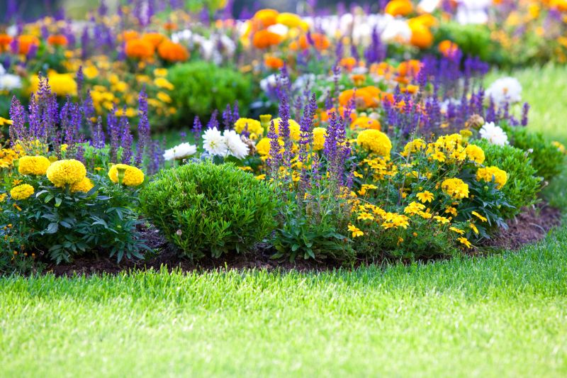 Flower Bed Cleanup Service in Honolulu, HI