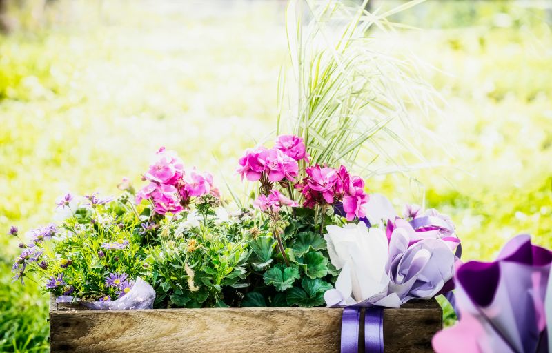 Flower Bed Maintenance in Honolulu, HI
