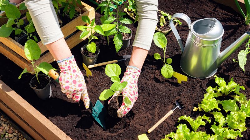 Garden Care Service in Honolulu, HI