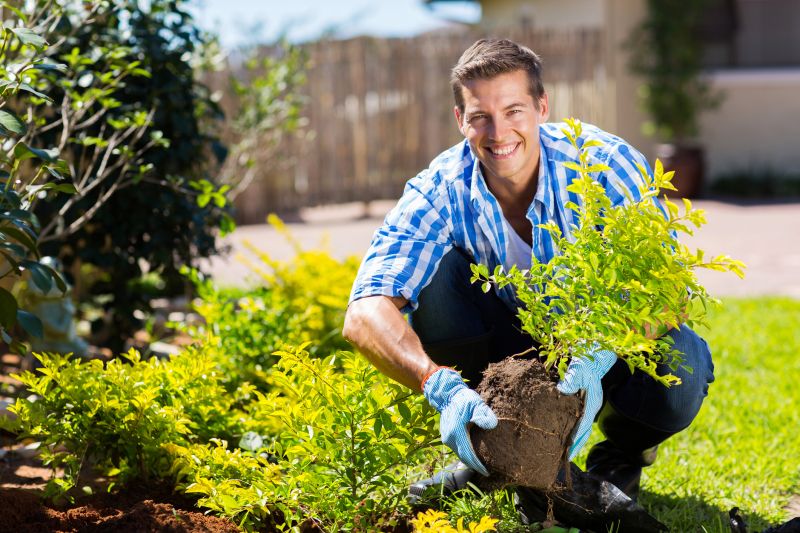Garden Cleanup Service in Honolulu, HI