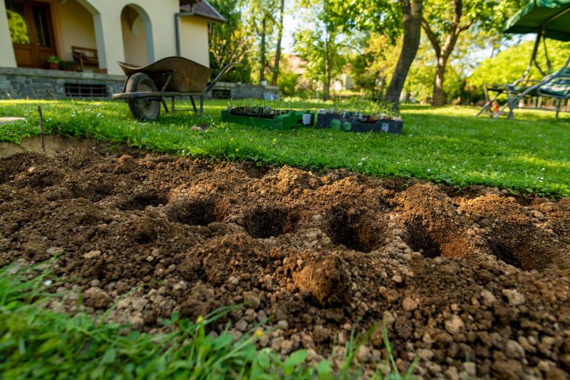 Garden Maintenance Service in Honolulu, HI