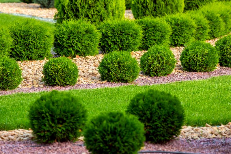 Hedge Landscaping in Ventura County, CA