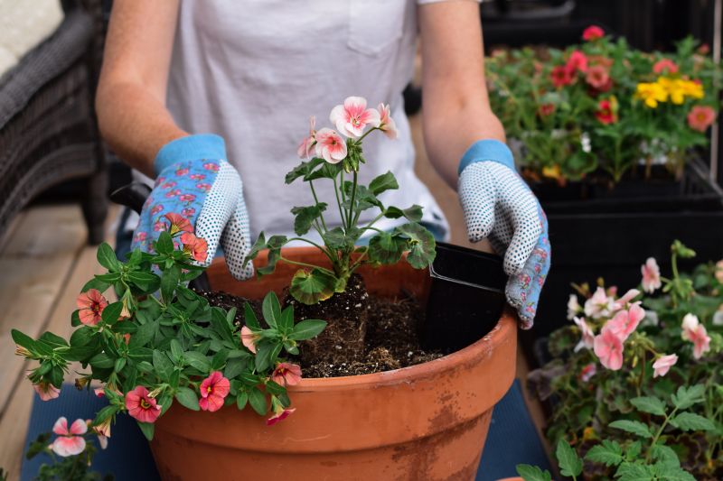 Home Gardening Service in Ventura County, CA