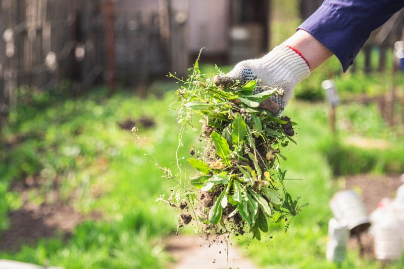 Home Gardening Service in Honolulu, HI