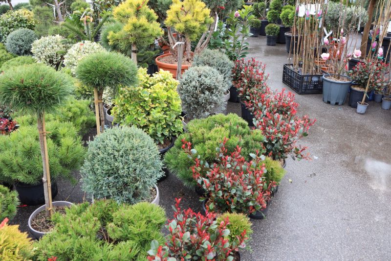 Landscape Planting Service in Honolulu, HI