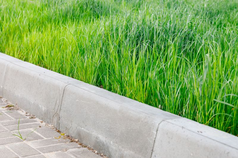 Lawn Curbing Service in Citrus County, FL