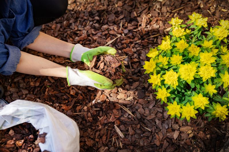 Organic Mulch Installation in Ventura County, CA