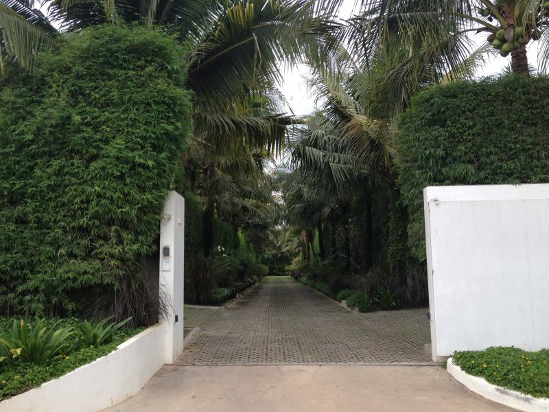 Privacy Shrub Installation in Ventura County, CA