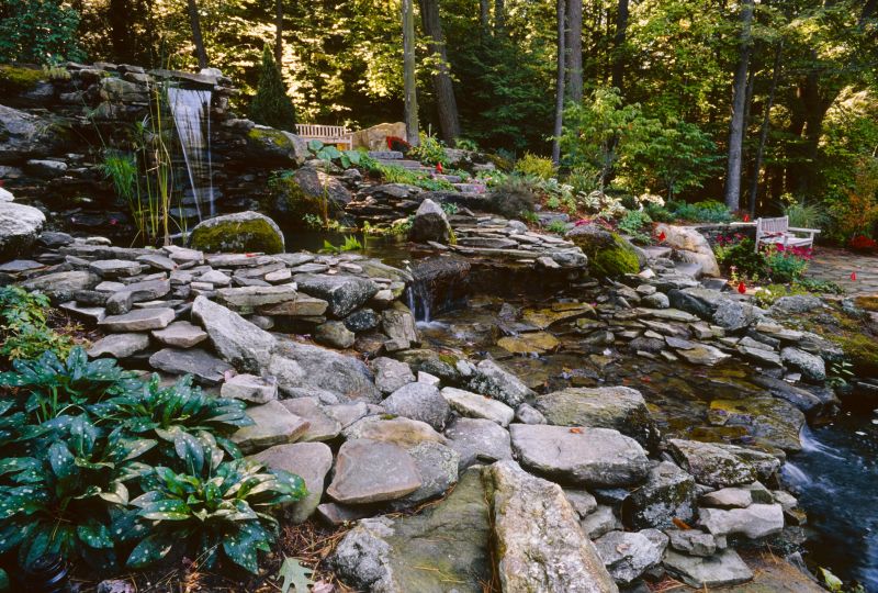 Water Garden Installation in Honolulu, HI