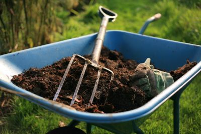 Enriches Soil Nutrients