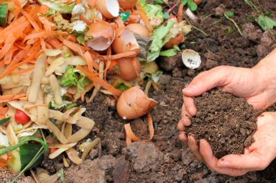 Improves Soil Structure