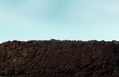 Suppresses Weeds Naturally