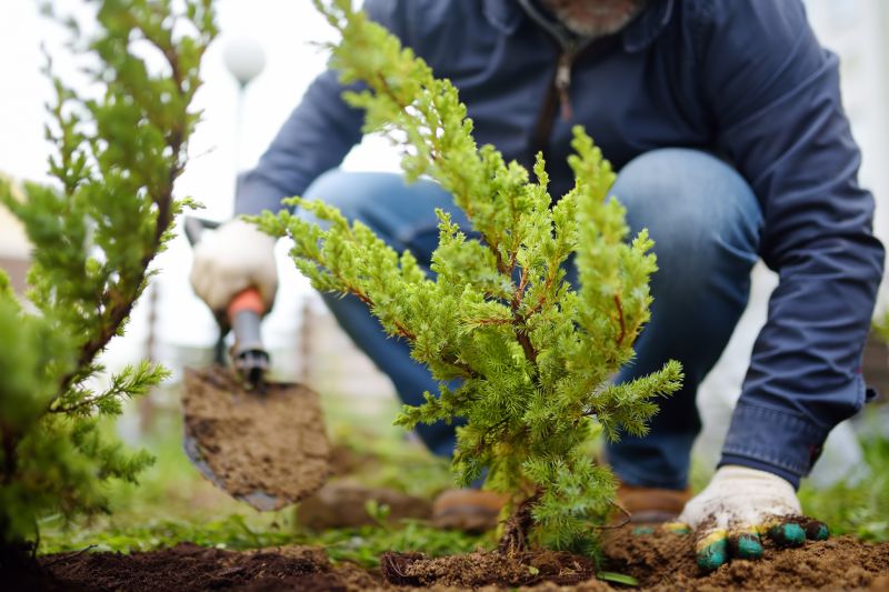 Bush Planting Service in Ventura County, CA