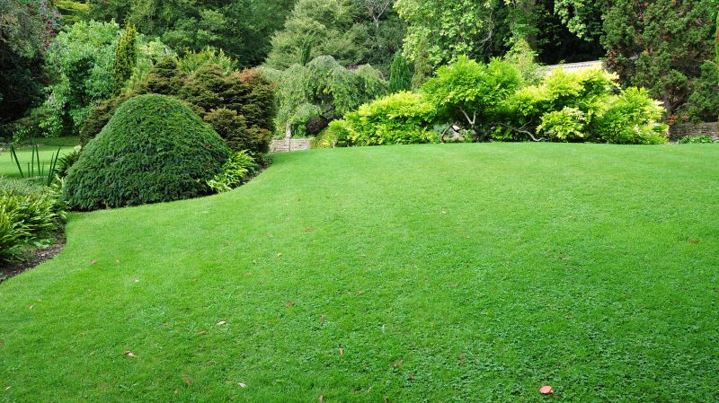 Park Landscape Maintenance in Ventura County, CA