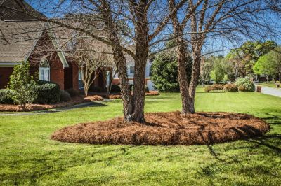 Soil Erosion Control