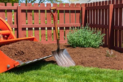Soil Enrichment