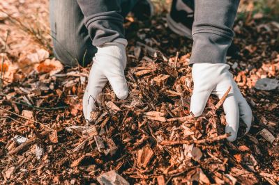 Weed Control