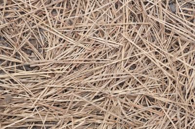 Moisture Retention